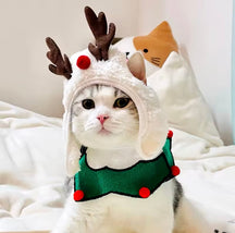 Holly Jolly Pet – Christmas Hat & Bandana Set for Cats and Dogs