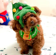 Holly Jolly Pet – Christmas Hat & Bandana Set for Cats and Dogs