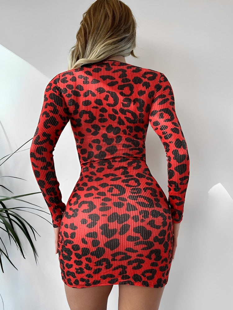 Vestido curto estampa leopardo Aylin 