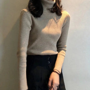 Briellaturtleneck Sweater Khaki / One Size Sweaters & Cardigans