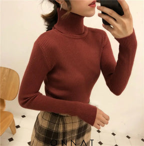 Briellaturtleneck Sweater Sweaters & Cardigans