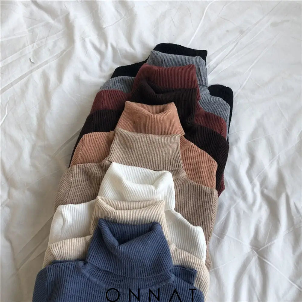 Briellaturtleneck Sweater Sweaters & Cardigans