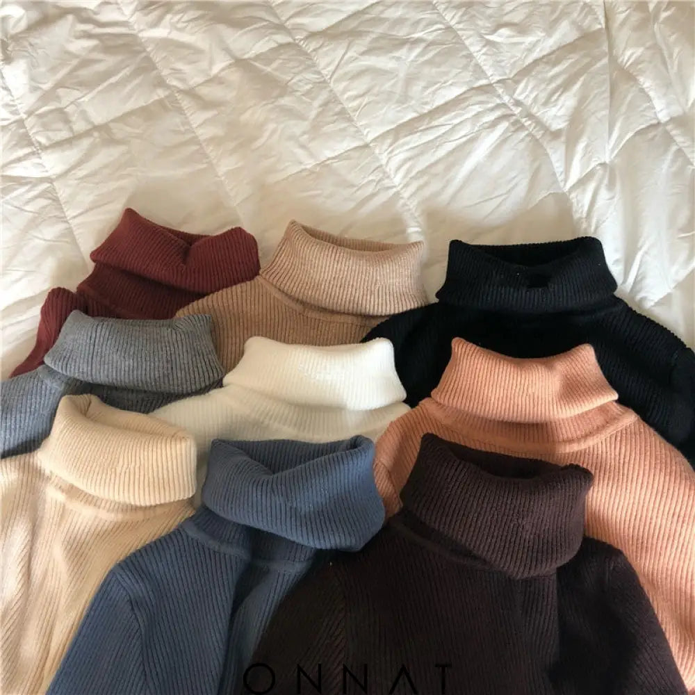 Briellaturtleneck Sweater Sweaters & Cardigans