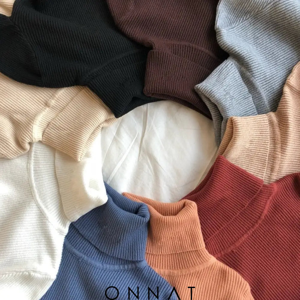 Briellaturtleneck Sweater Sweaters & Cardigans