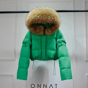 Plushpalace Jacket Green / One Size Coats & Jackets