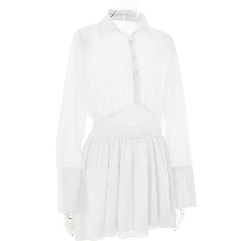 Sheer Collar Pleated Shirt Mini Dress